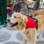 WhatsApp Image 2025-09-03 at 11.50.42