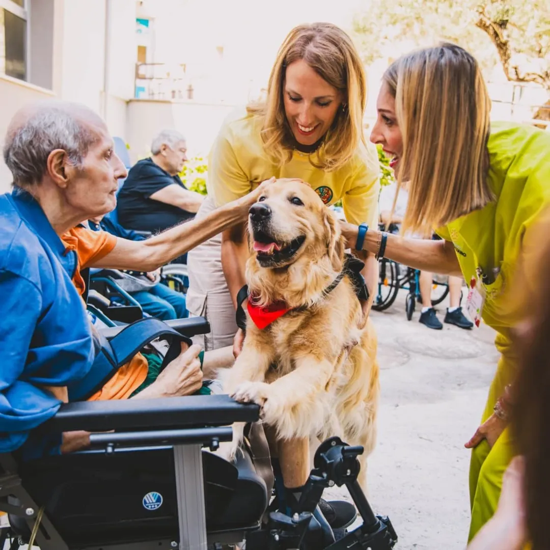 Momento Pet Therapy 2