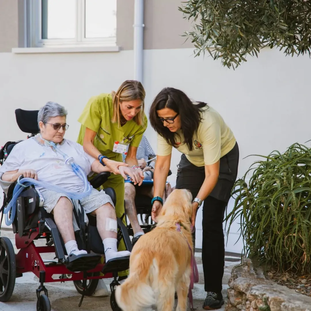 Momento Pet Therapy 1