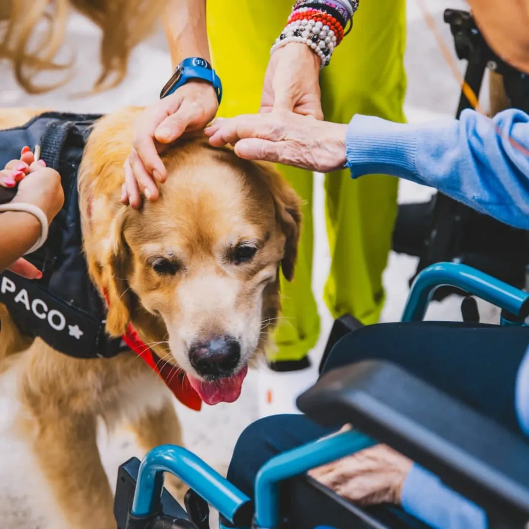 Pet Therapy My Pet Therapy